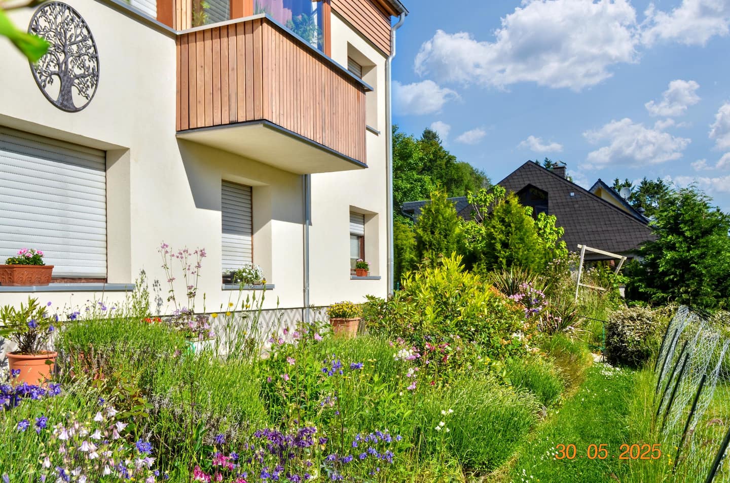 Das Haus mit blühendem Naturgarten