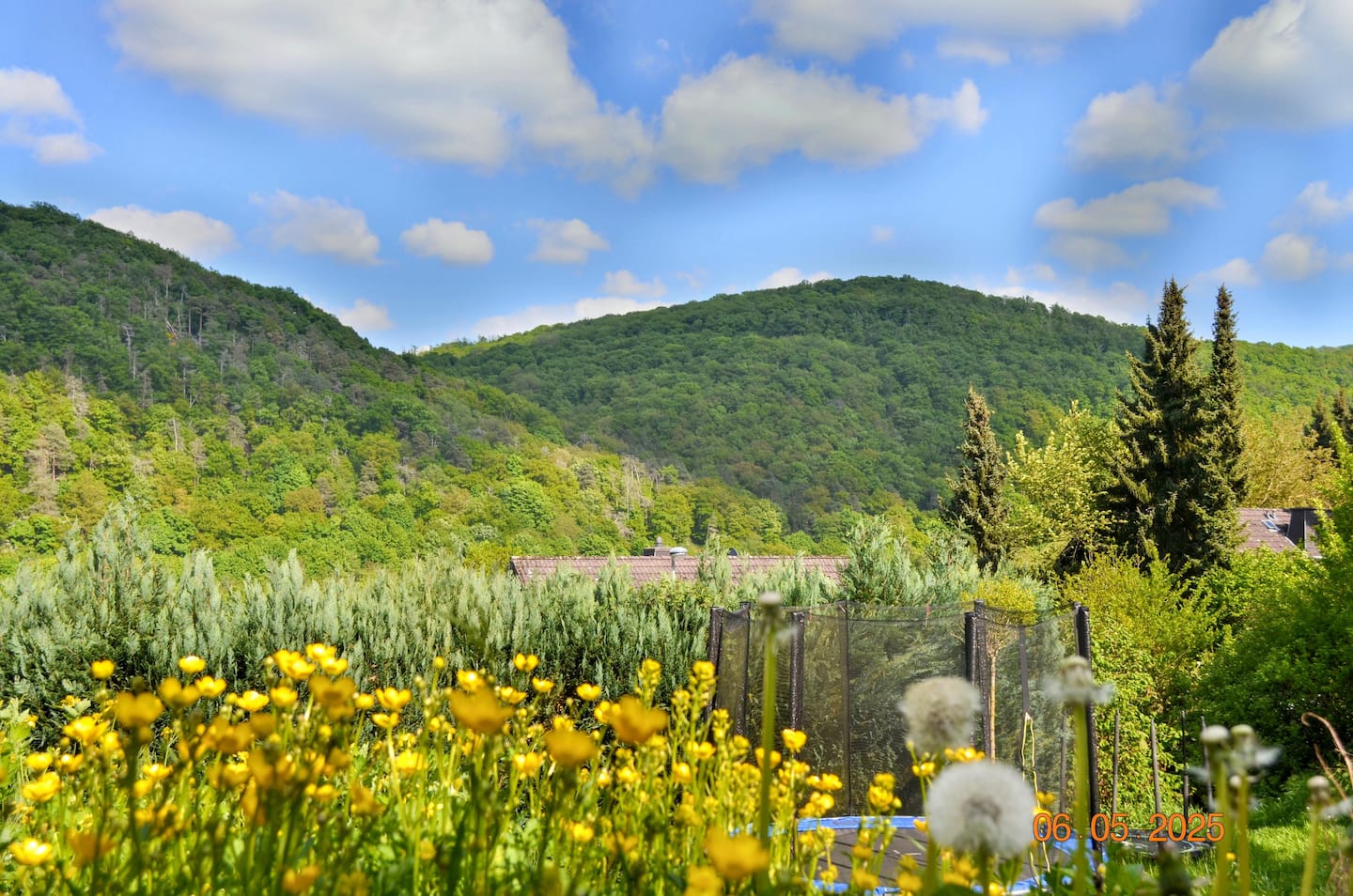 Naturgarten vor den Eifelhöhen