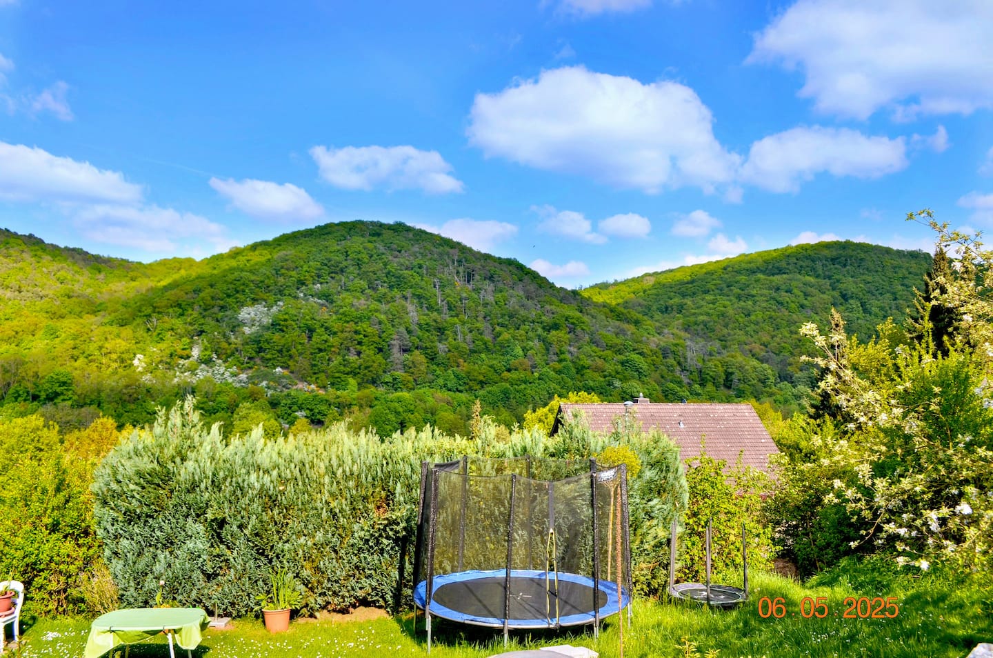 Grüner Blick über Garten und Berge