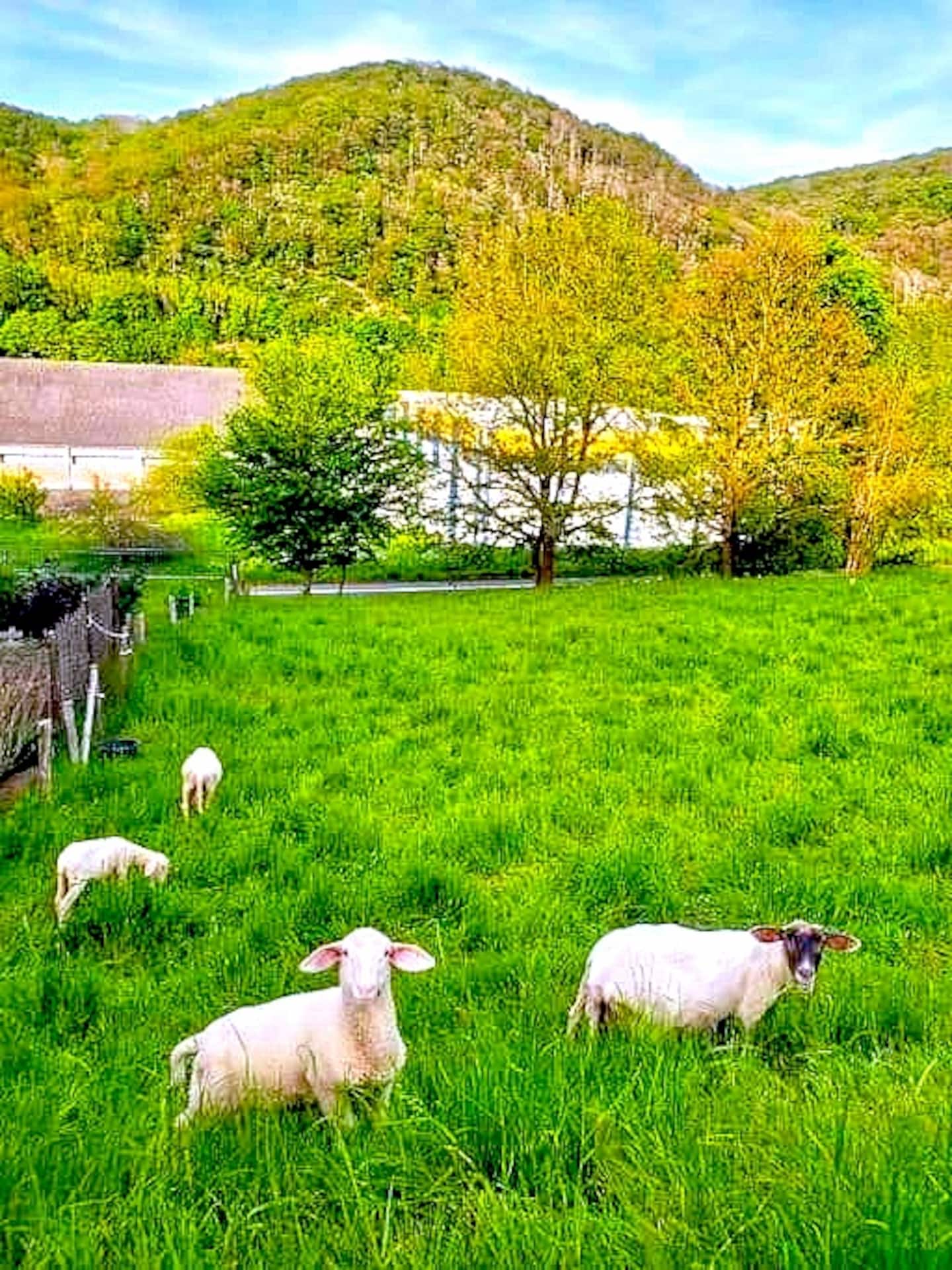 Außenbereich in ruhiger Nachbarschaft