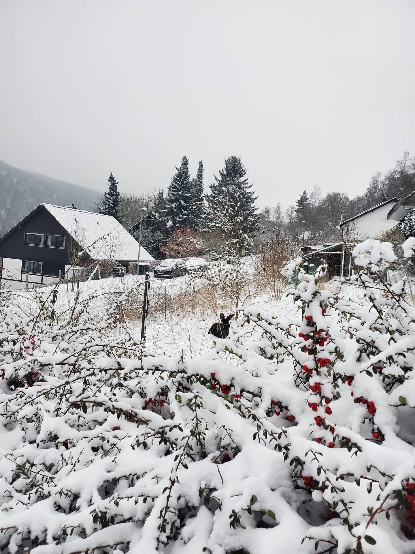 Verschneiter Garten